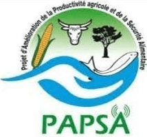 PAPSA